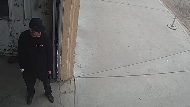 Accused in Edmonton Chinatown killings claims no memory of fatal attacks