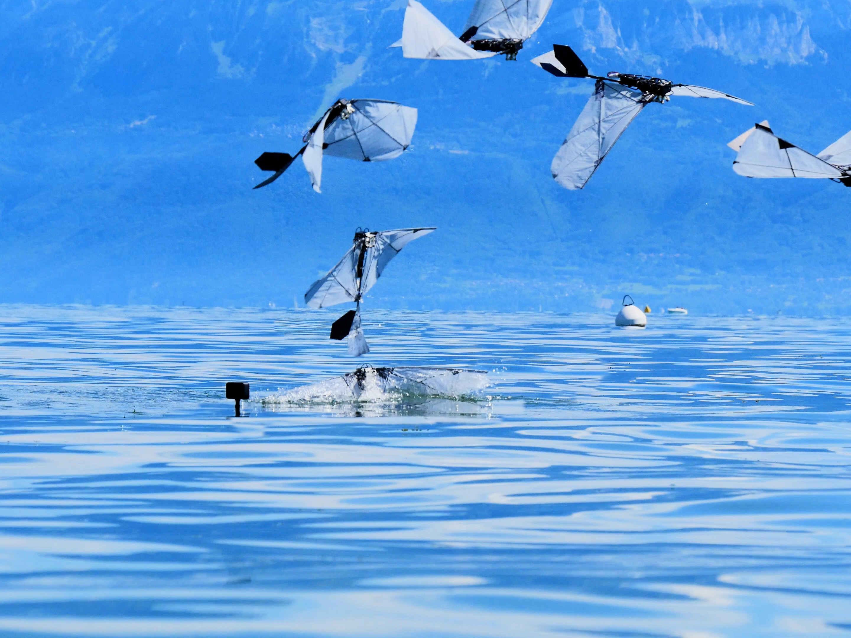 A photo-illustration shows the flight arc of the robot, as it leaves the water and soars into the air.