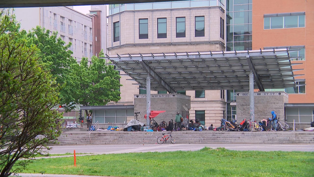 A group of people located in a park