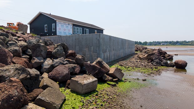 New concrete seawall a concern to neighbours but lies outside government jurisdiction