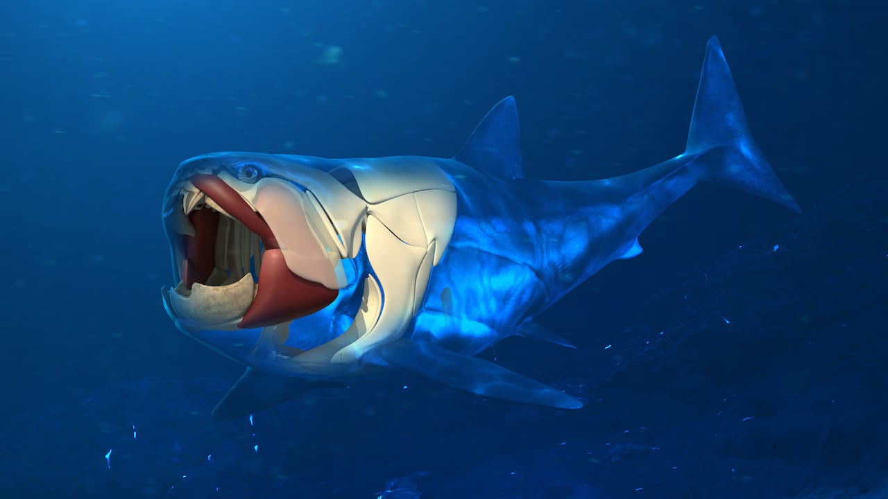 An illustration of the large ancient fish