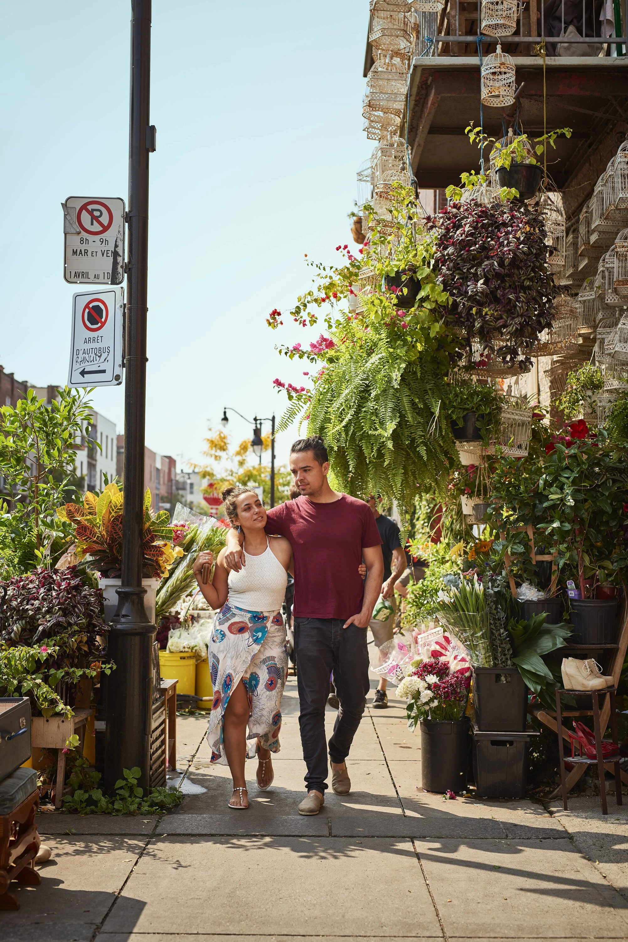 Plateau-Mont-Royal