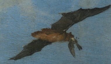 Bats can catch and eat birds mid-flight. A painter may have known that 400 years before scientists