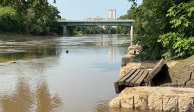 2 rescued from Assiniboine River after high water brings danger, delays water bus service