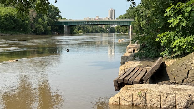 2 rescued from Assiniboine River after high water brings danger, delays water bus service