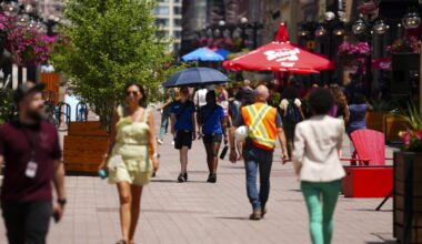 Applications for federal public service jobs drop by almost 30 per cent