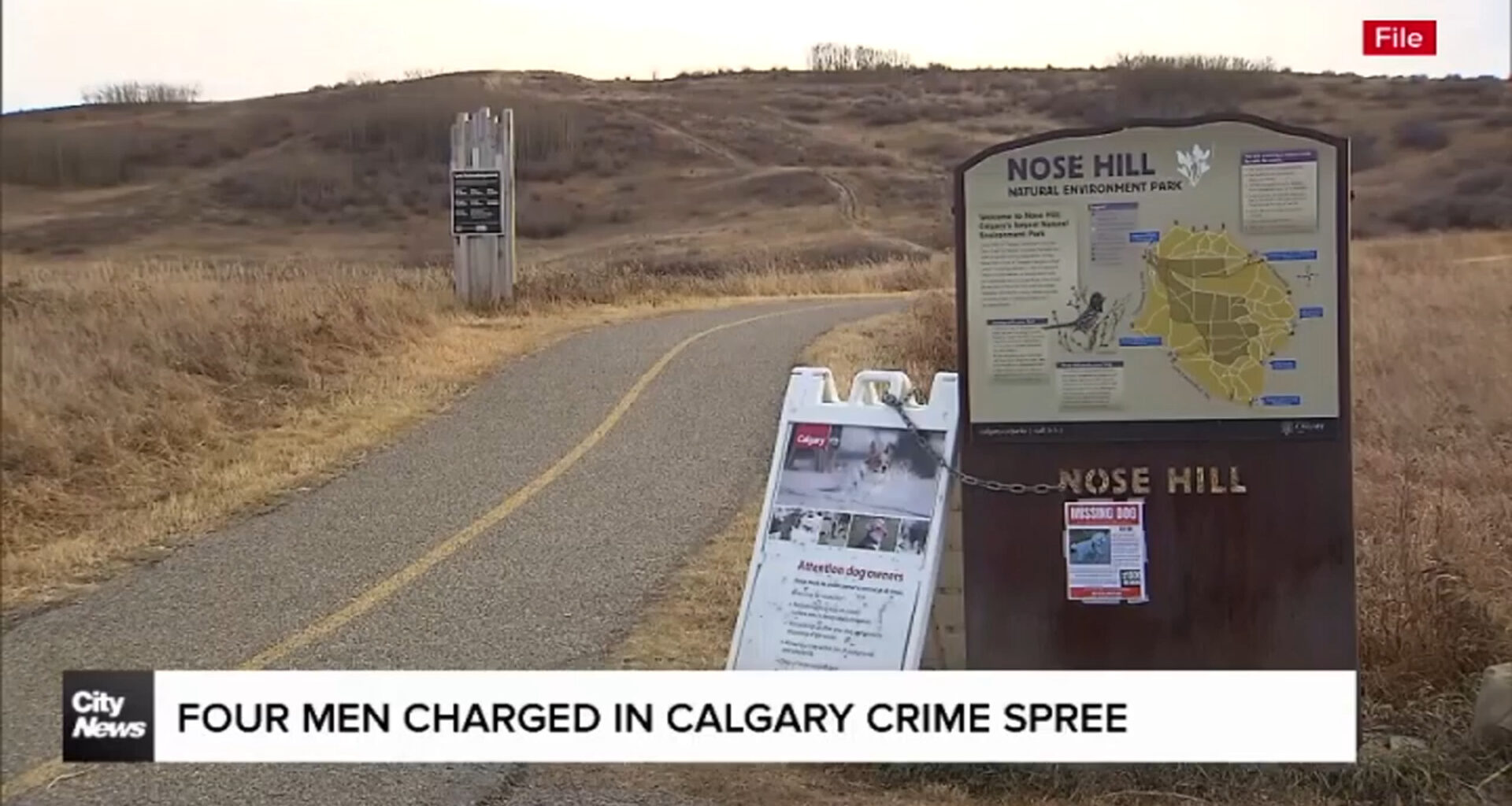 Four men charged in Calgary crime spree