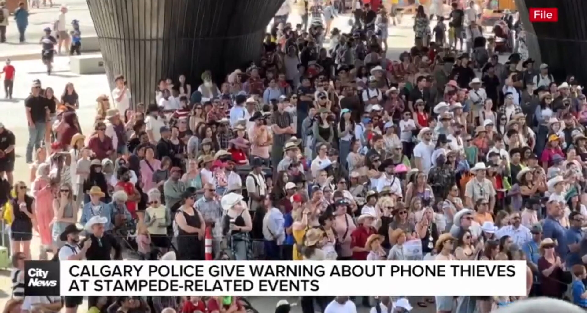 Calgary police give warning about phone thieves at Stampede-related events