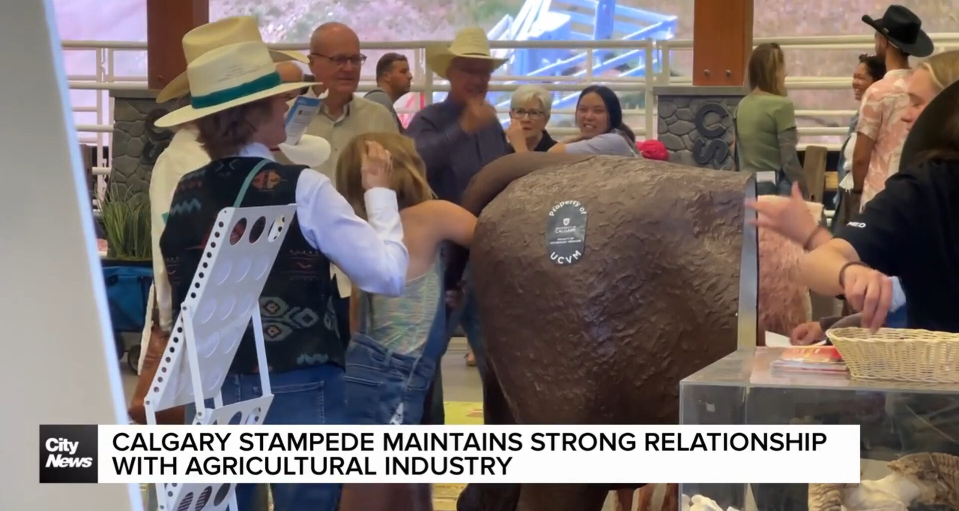 Calgary Stampede maintains strong relationship with agricultural industry