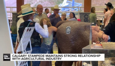 Calgary Stampede maintains strong relationship with agricultural industry