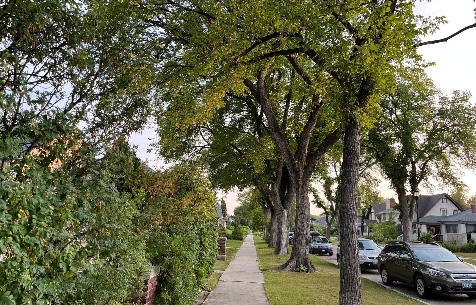 Mayor’s flip-flop a welcome effect of campaign – Winnipeg Free Press