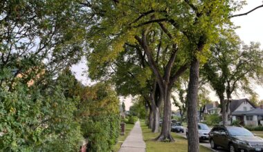 Mayor’s flip-flop a welcome effect of campaign – Winnipeg Free Press