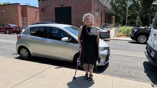 Parking rules next to Toronto park didn't consider accessible permit holders: park volunteer