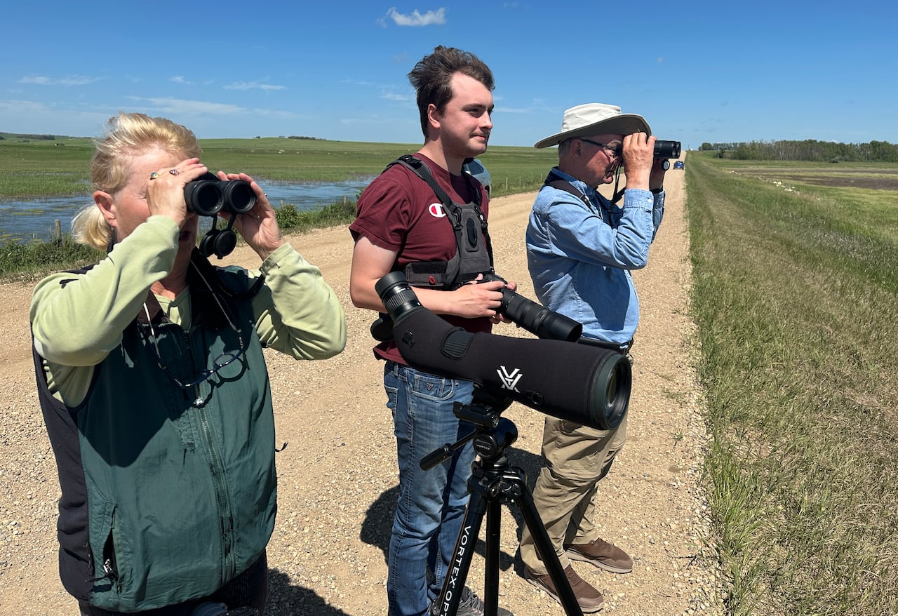 A group of birdwatchers.