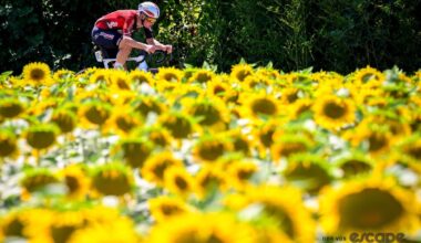 In praise of the lone rider
