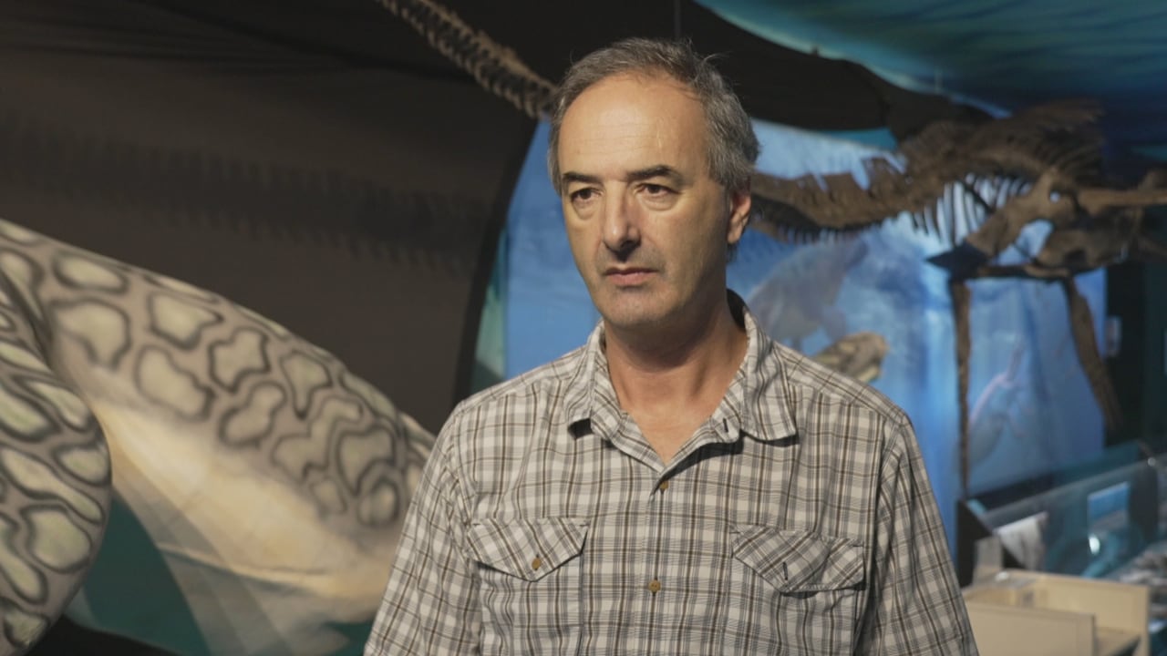 A man wearing a beige plaid shirt stands inside a museum with an aquatic, long-necked dinosaur skeleton behind him