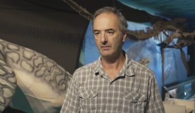 New Styxosaurus exhibit unveiled at southern Manitoba museum