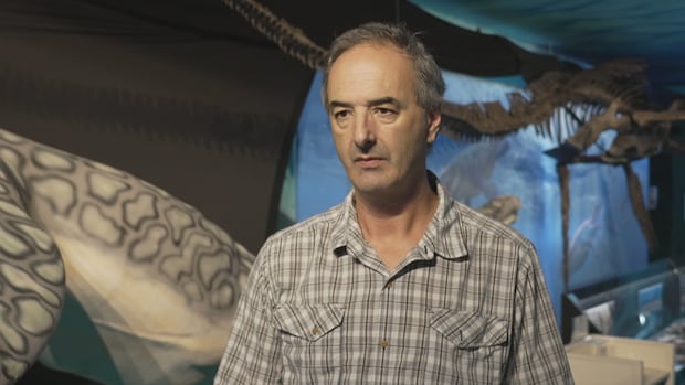 New Styxosaurus exhibit unveiled at southern Manitoba museum