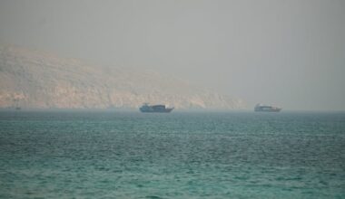 U.S. seeks public pledge from Iran to free up Strait of Hormuz