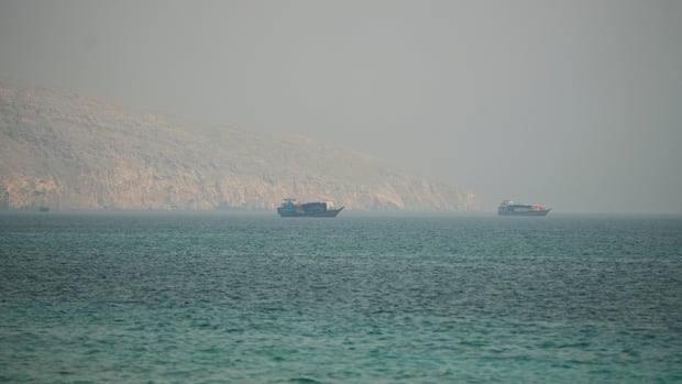 U.S. seeks public pledge from Iran to free up Strait of Hormuz