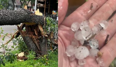 Severe thunderstorm in Edmonton region impacting infrastructure and knocking down trees