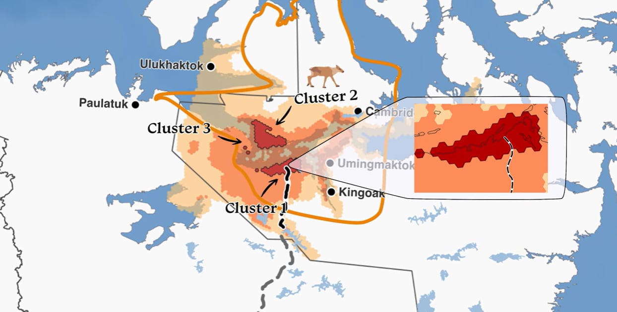 A map with hot spots for caribou gathering shown in clumps. One has a line going through it representing the grays bay road.
