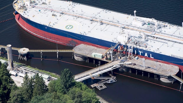 Tsleil-Waututh Nation seeks to overturn permits allowing dredging to accommodate larger tankers in Vancouver