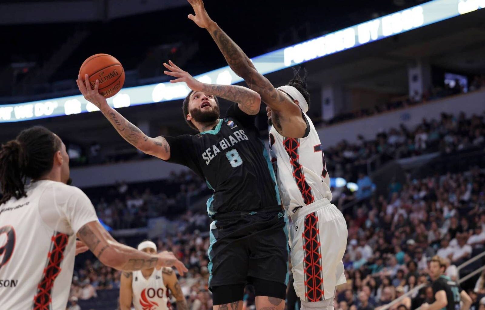 Sea Bears stumble to first home loss against struggling Surge – Winnipeg Free Press