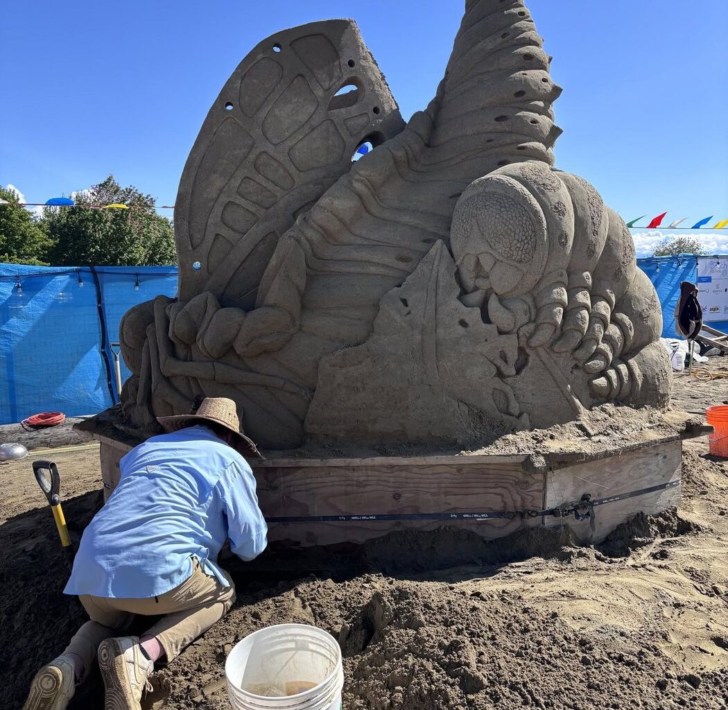 Sand sculptures damaged by vandals at Vancouver Island beach festival, organizers say | NanaimoNewsNOW