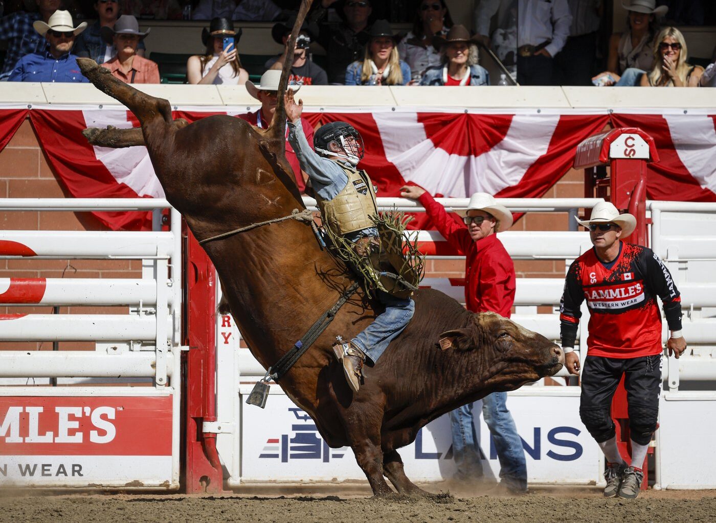 Texans dominate Calgary Stampede rodeo finals taking four of seven events | NanaimoNewsNOW