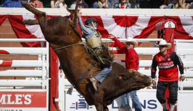 Texans dominate Calgary Stampede rodeo finals taking four of seven events | NanaimoNewsNOW