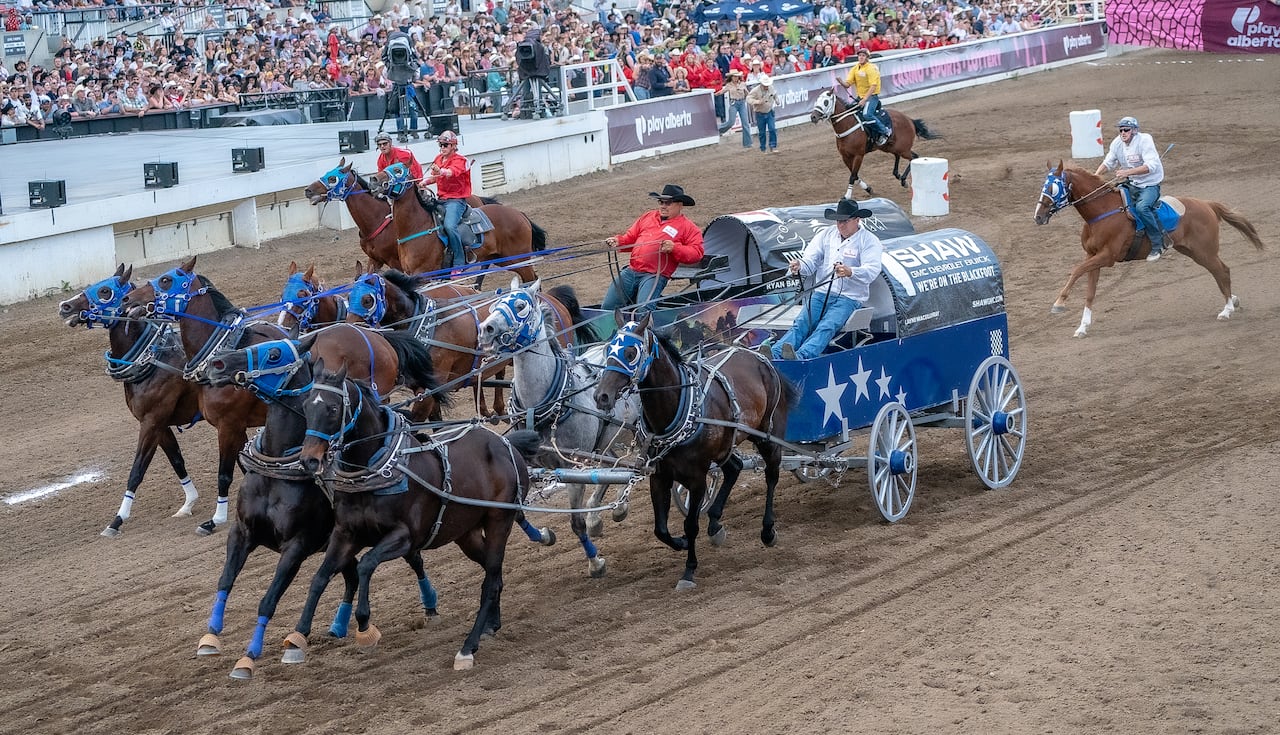 Chuckwagon races.