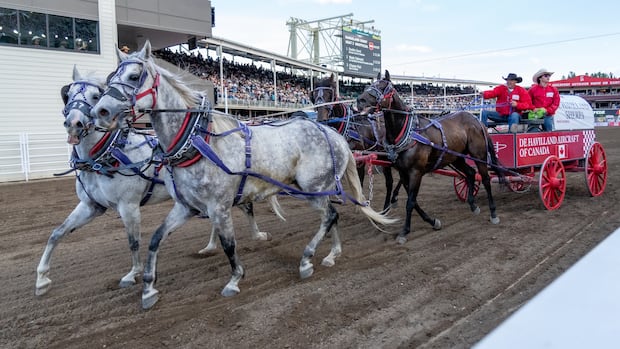 Attendance, affordability and animal welfare in the spotlight as 2026 Calgary Stampede wraps