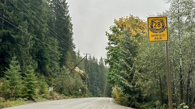 Western Vancouver Island communities push for alternate road amid wildfire threats