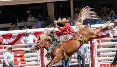 Rodeo action from the final day at the 2026 Calgary Stampede – CTVNews