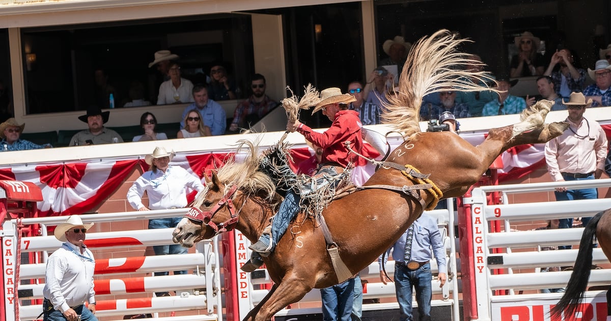 Rodeo action from the final day at the 2026 Calgary Stampede – CTVNews