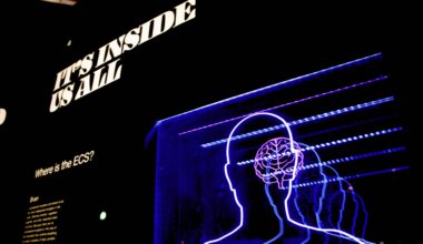 Teen Brain Reactions to Faces Hint at Social Future