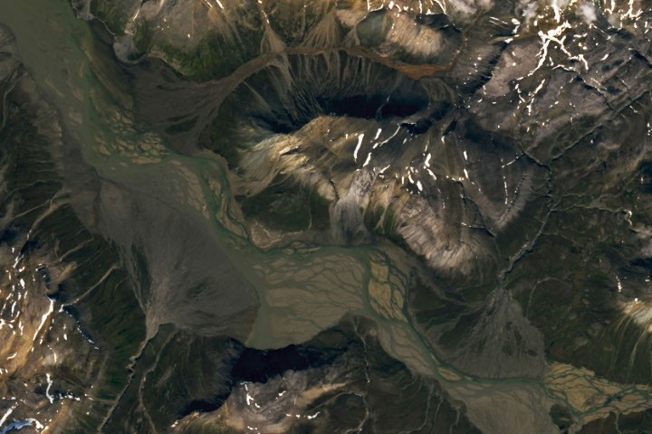 Fans of the Arctic - NASA Science
