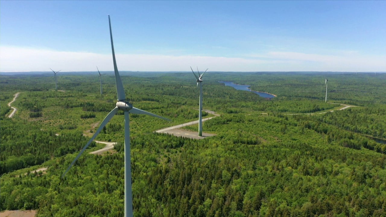 An aerial view of a group of wind turbines spread out on land covered in trees.