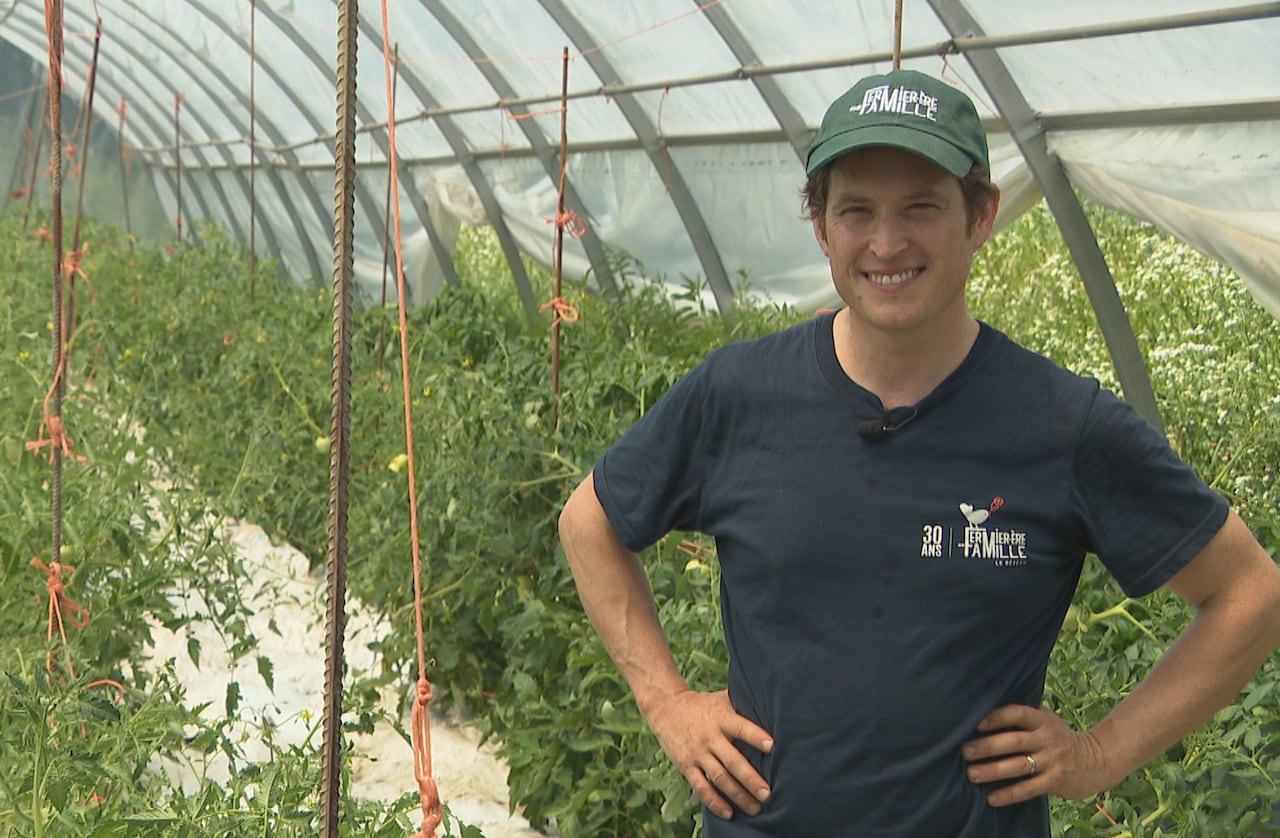 Photo of Ian Ward, standing in his vegetable farm