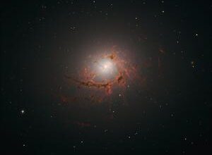How supermassive black holes feed themselves