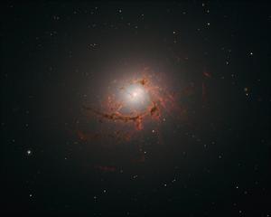 How supermassive black holes feed themselves