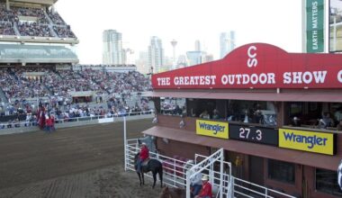 Grande Prairie cowboy wins Calgary Stampede buckle