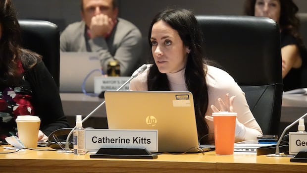 Councillor foresees RTO traffic 'hell' despite city transporation plan