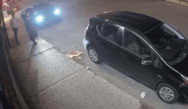 Montreal police make arrests in connection with incidents targeting Hasidic Jews