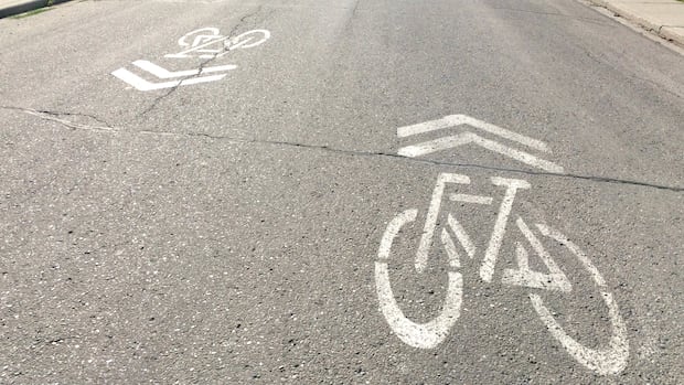 Alberta government launches web portal taking complaints on bike lanes