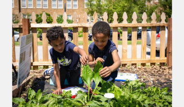 Scientists and students research plants together