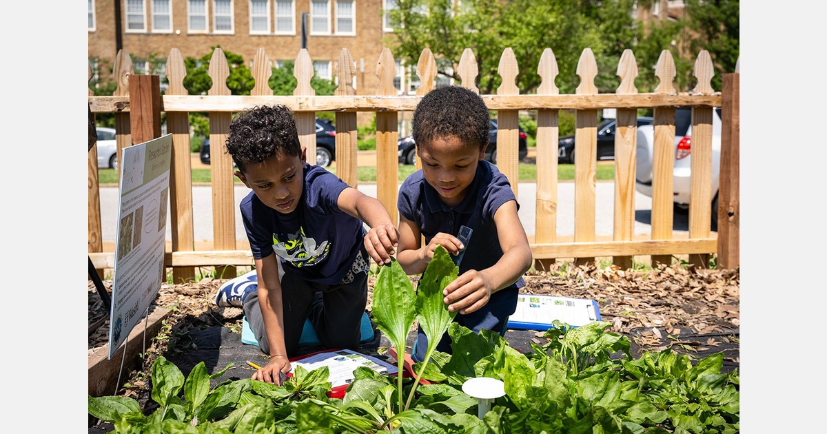 Scientists and students research plants together