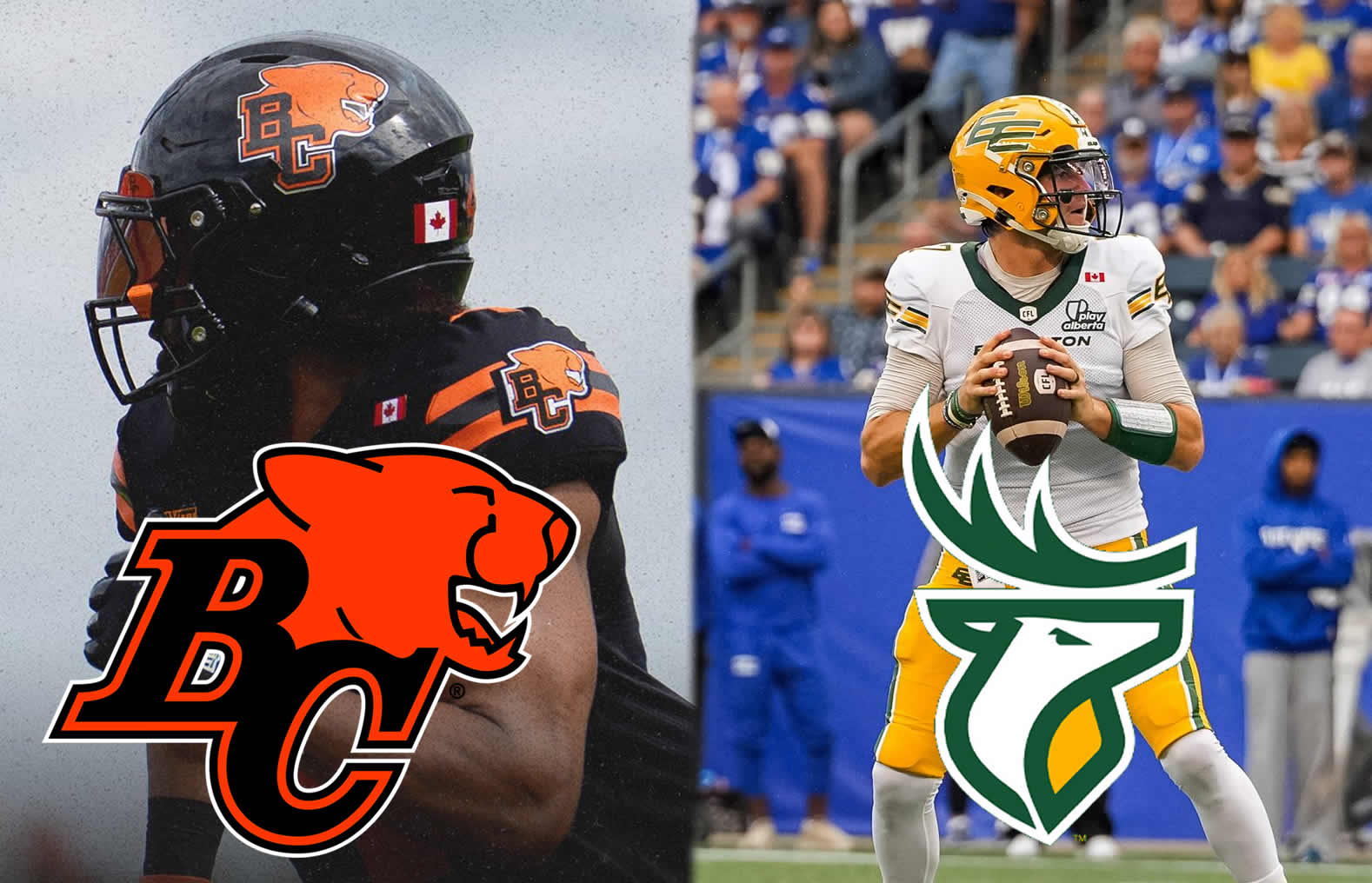 CFL News Hub
