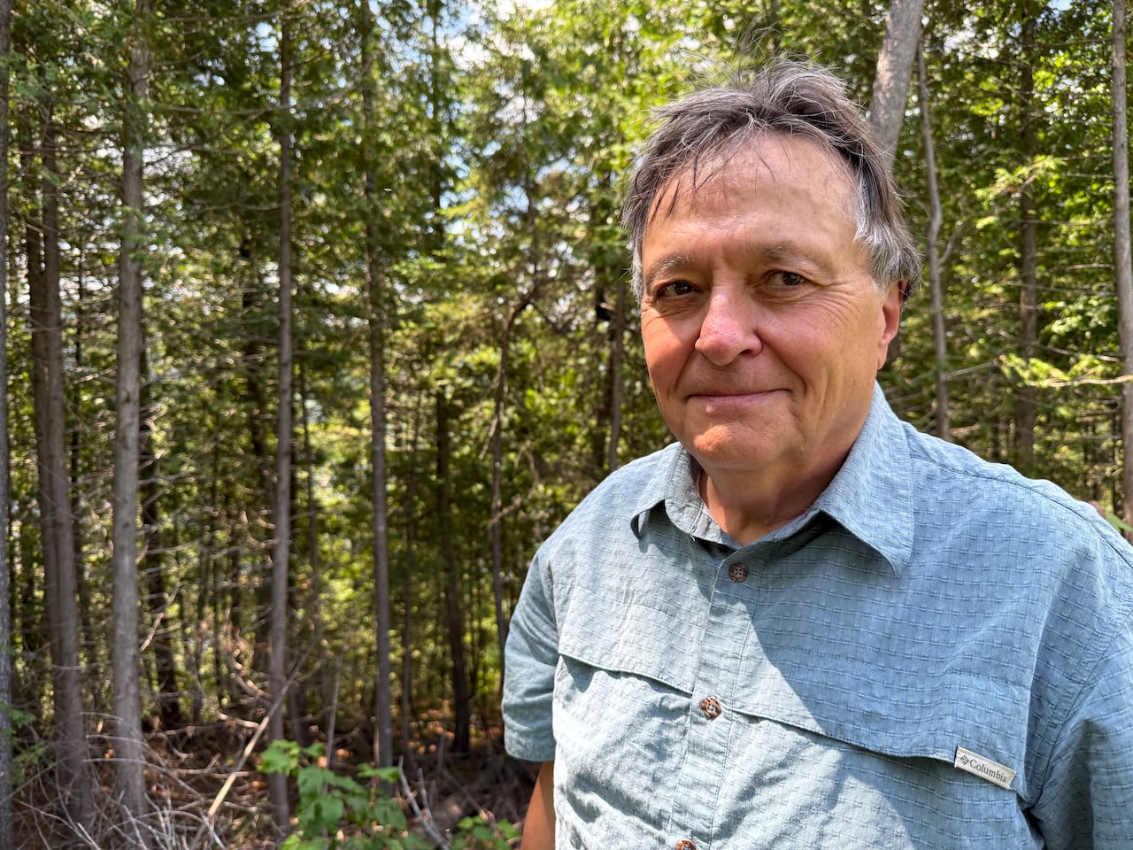 Man with great hair and blue shirt stands in front of forest in the background and looks at he camera
